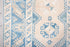 Antique Anatol Area Rug (3' x 6')